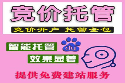 百度竞价价格策略，案例启示录